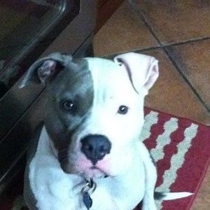 Meet your Posher, Johnny